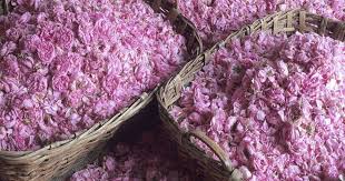 Perfume Workshop at our perfumery